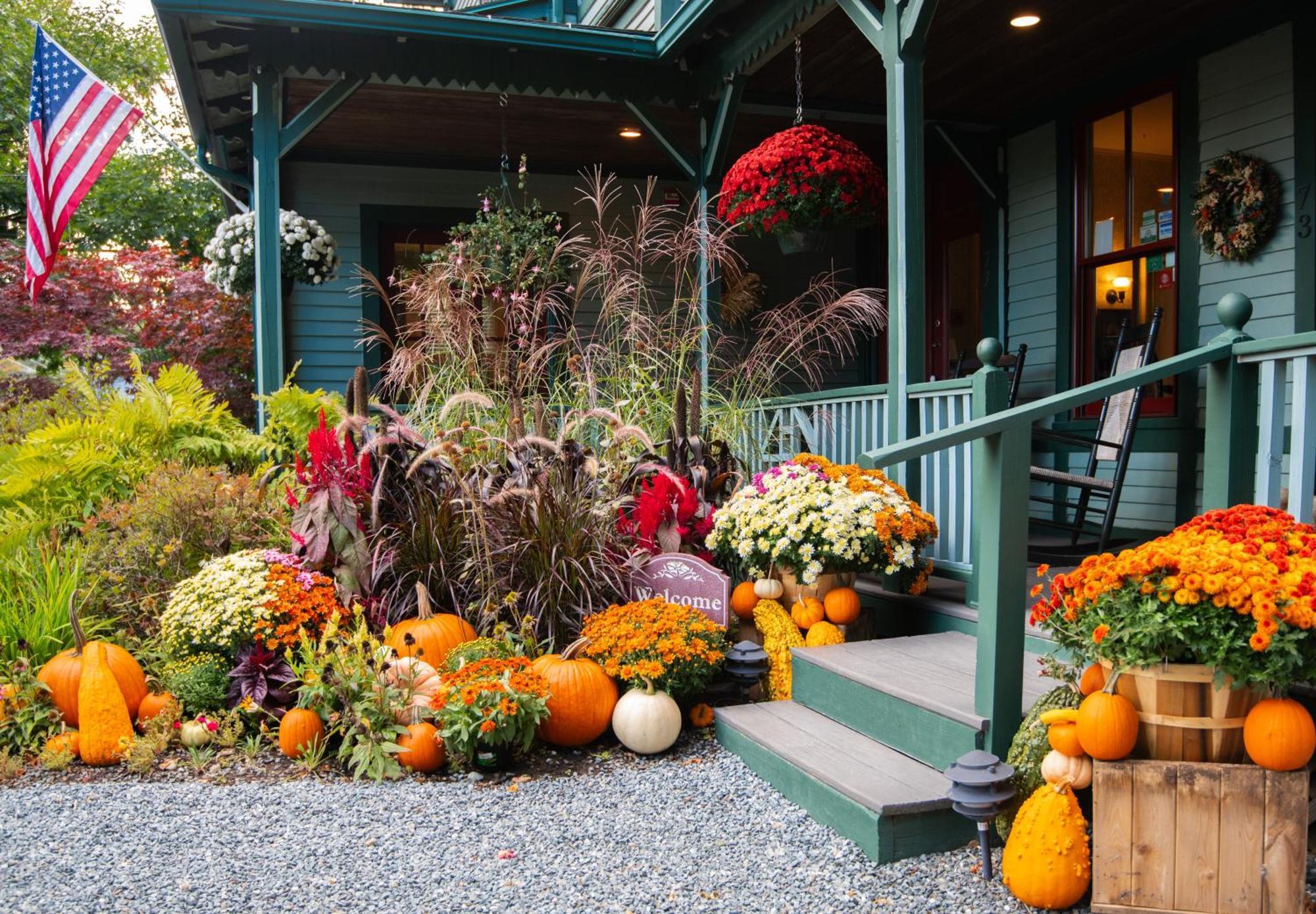 The Primrose Bar Harbor
